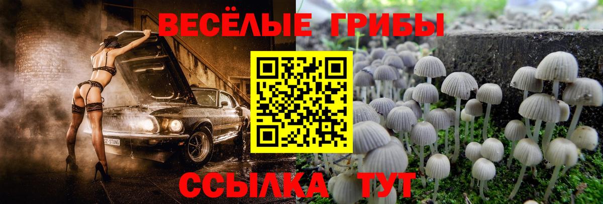 Псилоцибиновые грибы Magic Shrooms  Вход с VPN  Семилуки 