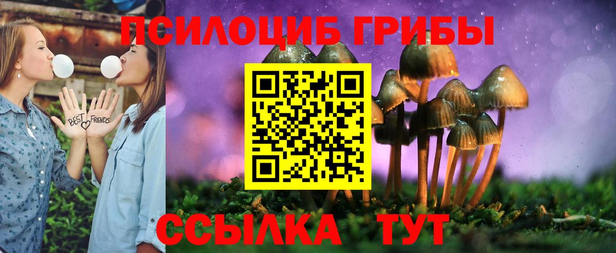Галлюциногенные грибы GOLDEN TEACHER Семилуки